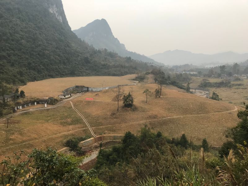 W020241119527181940116