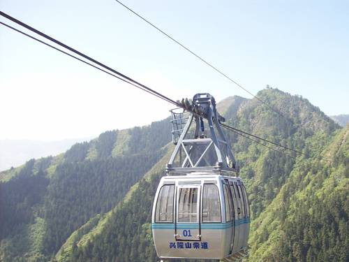 W020241119528346517670