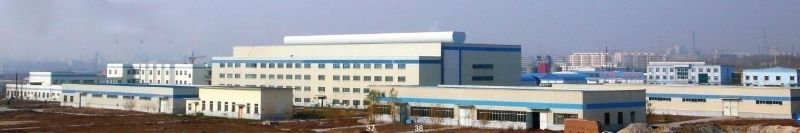 W020241119525550768109