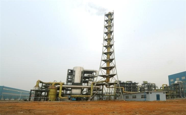 W020241119525552541750