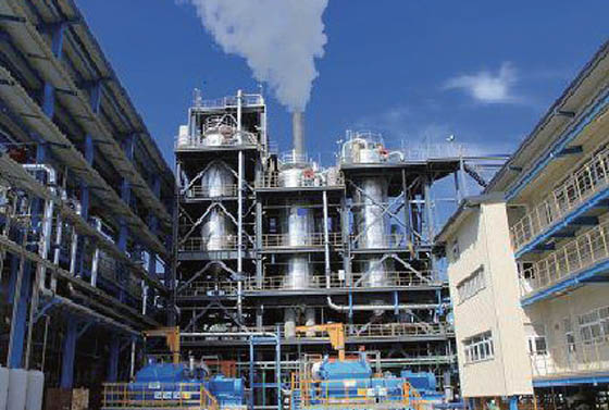 W020241119529317330392